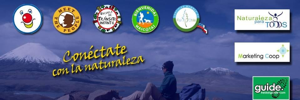 trekkingchile's profile banner image