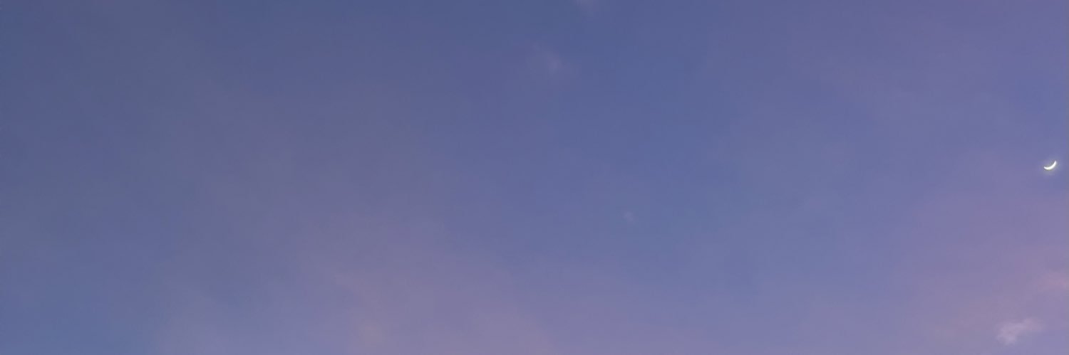Zara banner