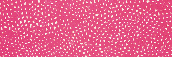 Esther Crabbendam banner