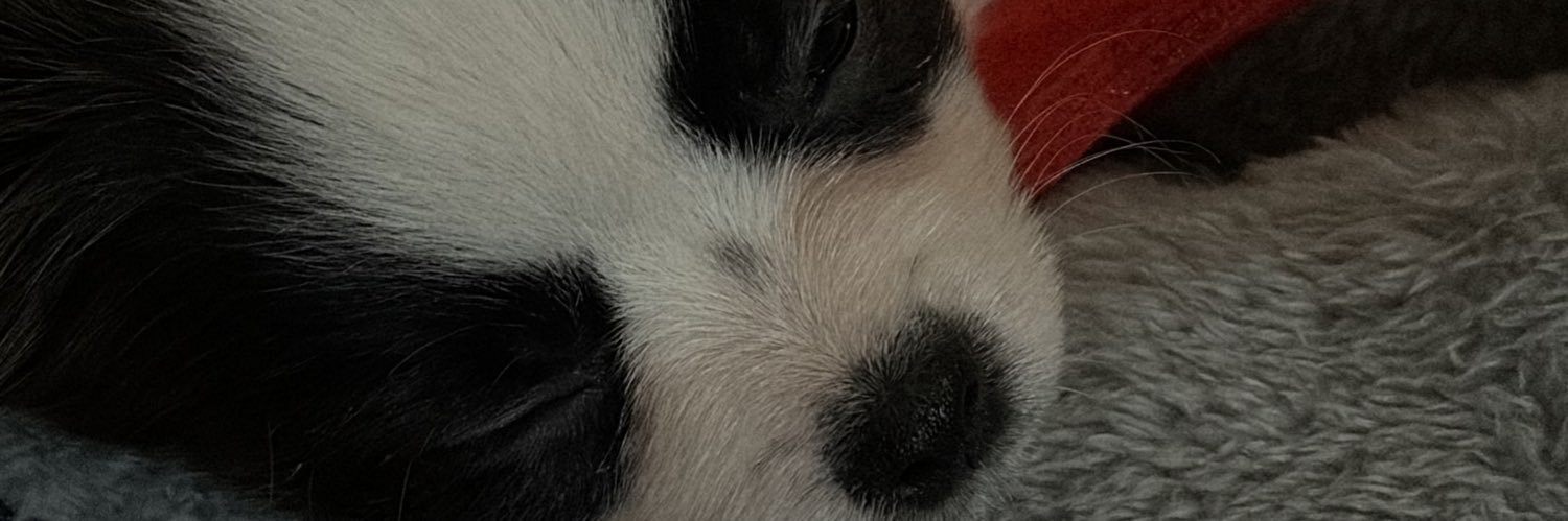 serothedog's profile banner image