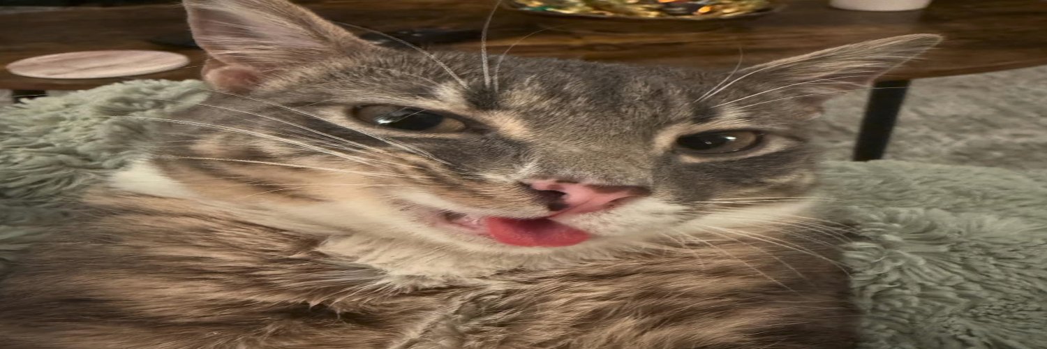 🇨🇿 Azide15N banner