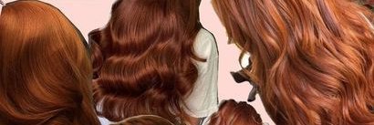 Su Ali banner