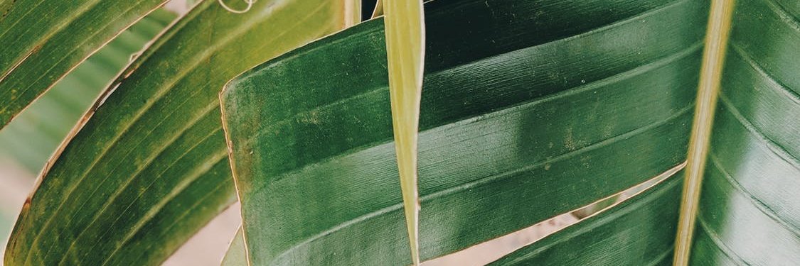 manfye's profile banner image