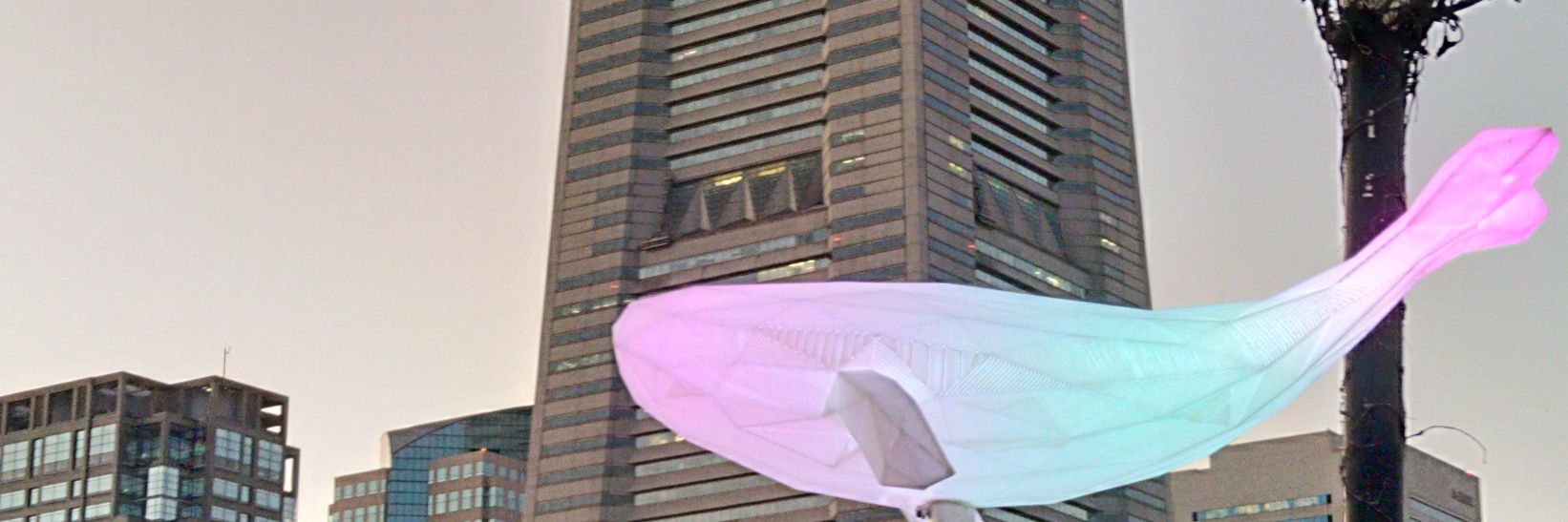 🐟️チハモ🐟️ banner