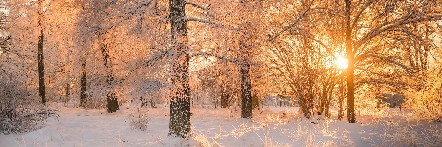 Nick Wilde🇪🇺 banner