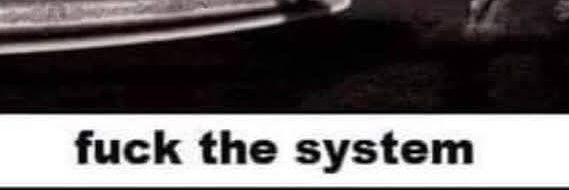 p-zed banner