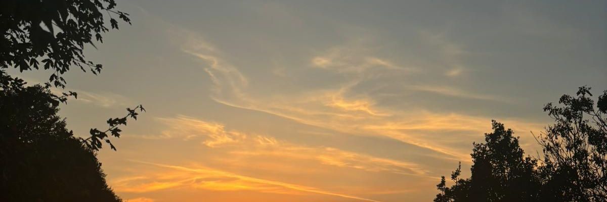 🏳️‍⚧️ meltem banner