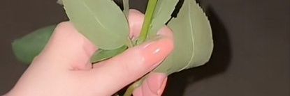 المنسقه راناء السوريه صنعاء banner
