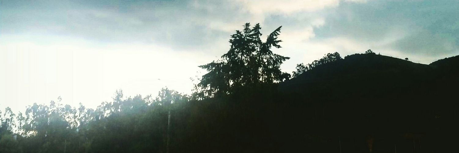 AlvaroGarciaTr's profile banner image