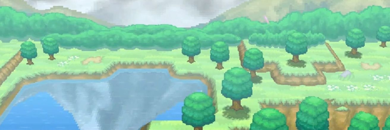 Rosa “ Whitley ” banner