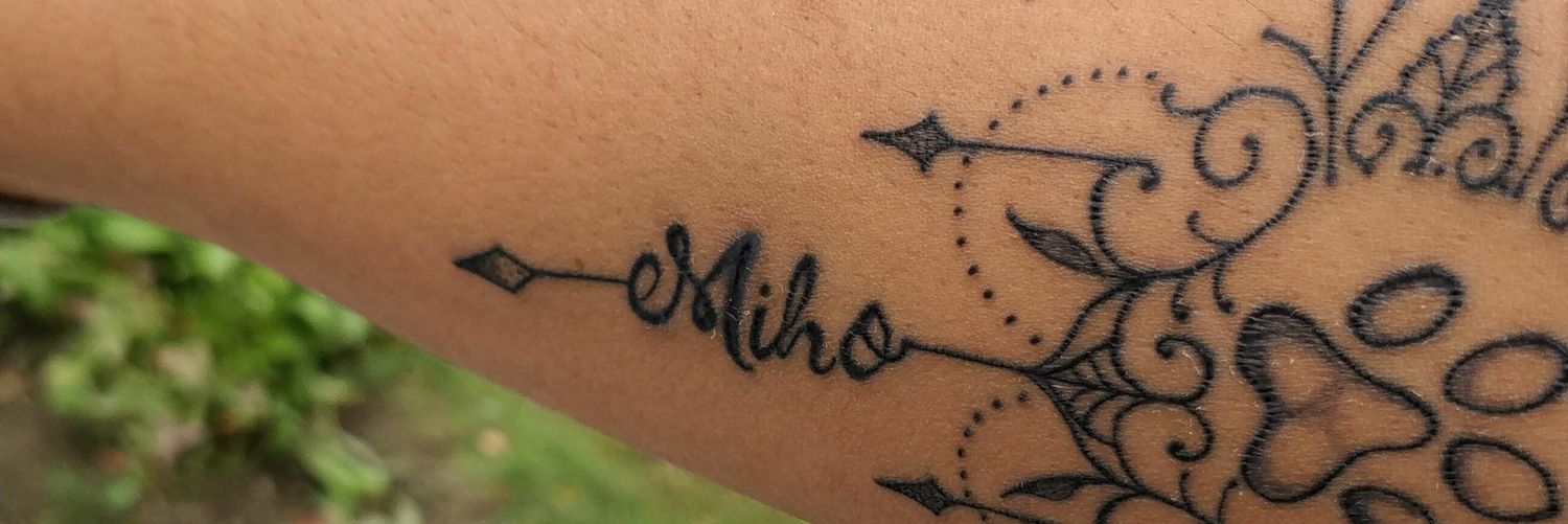 Srishtig's profile banner image