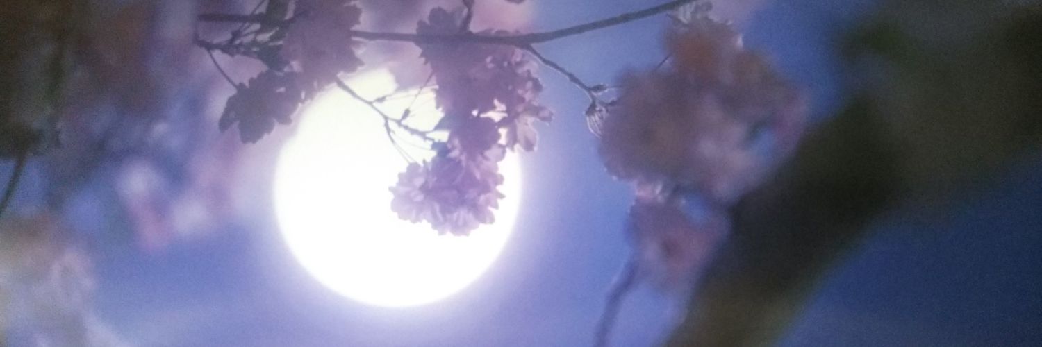 17348_1022's profile banner image