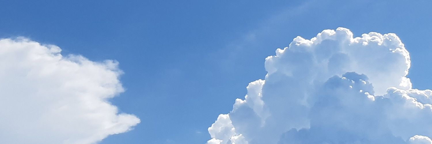 berrymilw's profile banner image