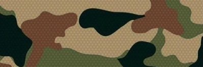 Innvalid banner