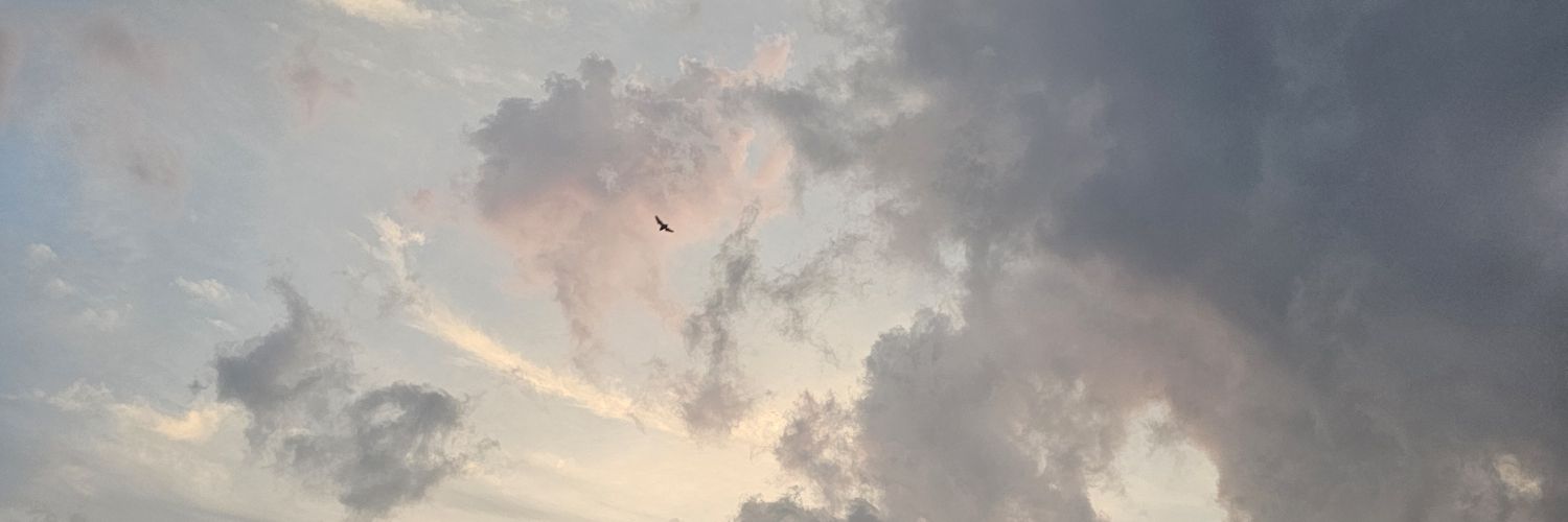 wriothssley's profile banner image