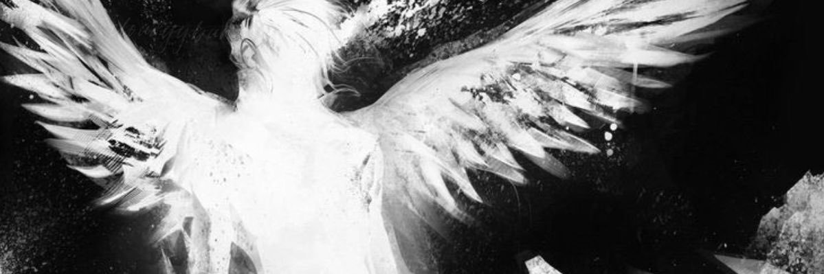 y banner