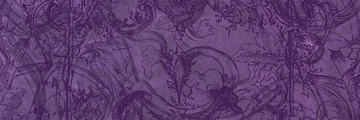 maeve ! banner