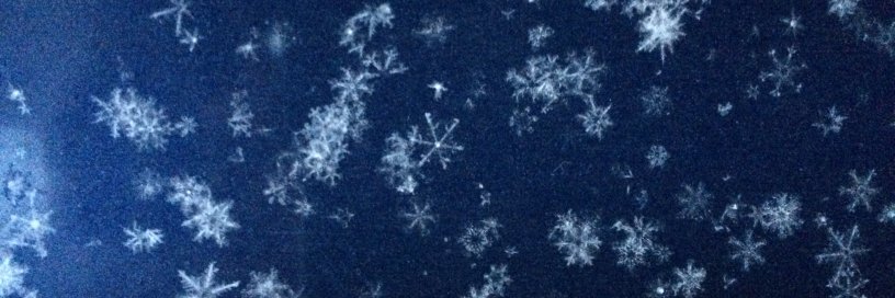 tcschell's profile banner image