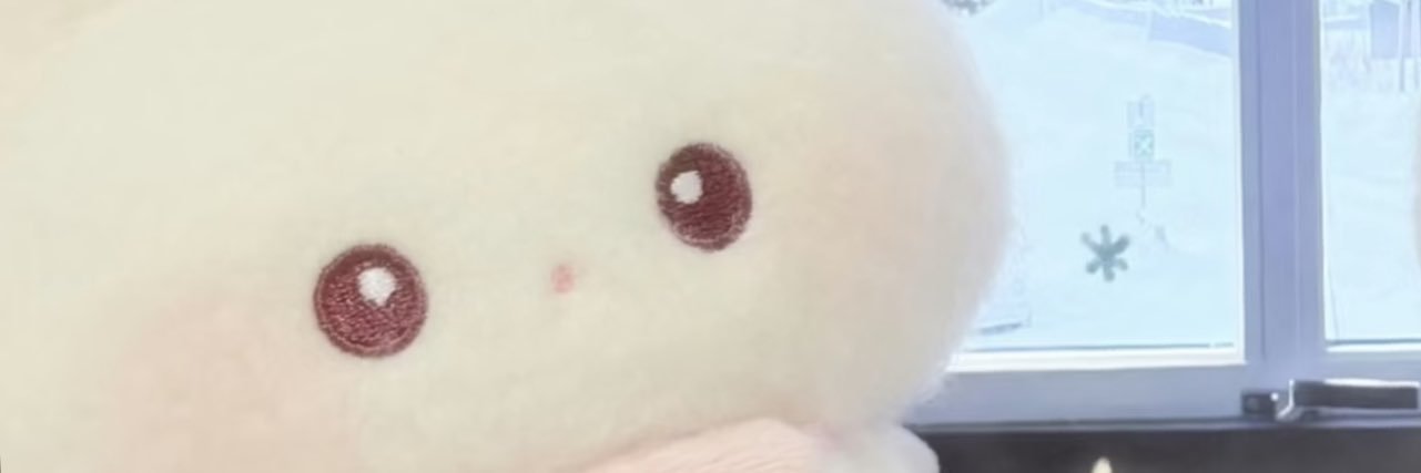呆呆小猫布丁🍮 banner