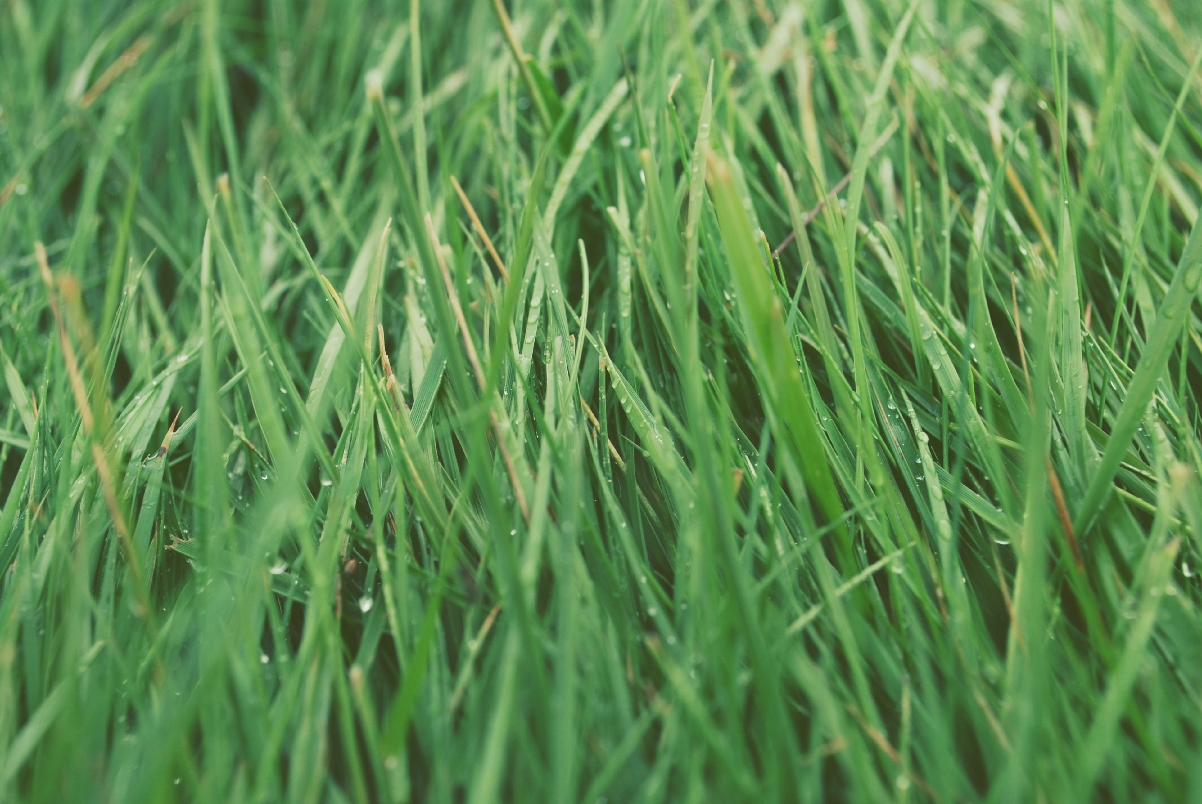 michaelsobota's profile banner image