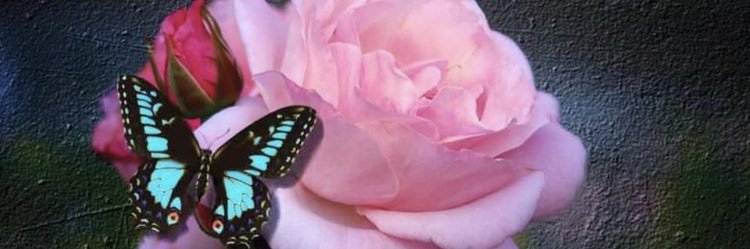 __sweeetrachel's profile banner image