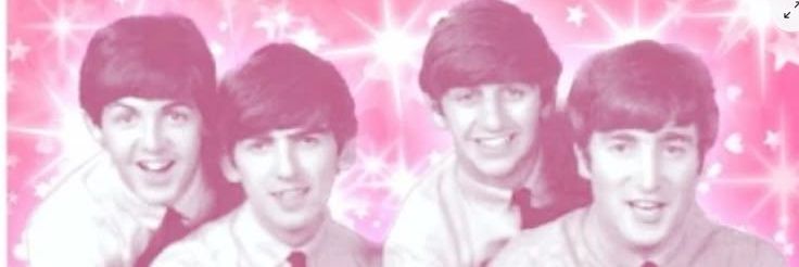 🍰🌸×•°Terry of shtwt!°•×🌸🍡 banner