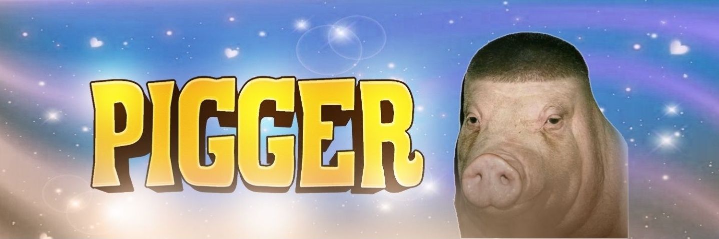 PiggerWiggerPig's profile banner image