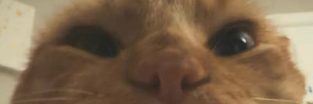 Mahreen Aafreen banner