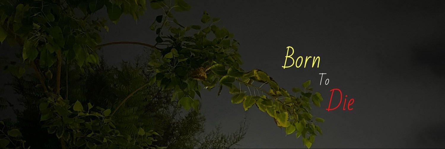 justdividhere's profile banner image