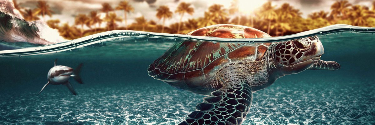 GeraGege26's profile banner image