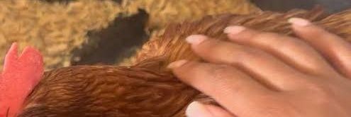 HelaynaMaria56's profile banner image