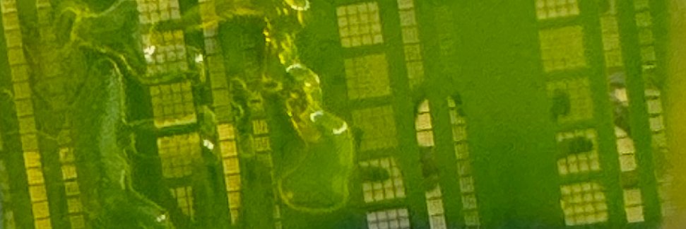 mcybets banner