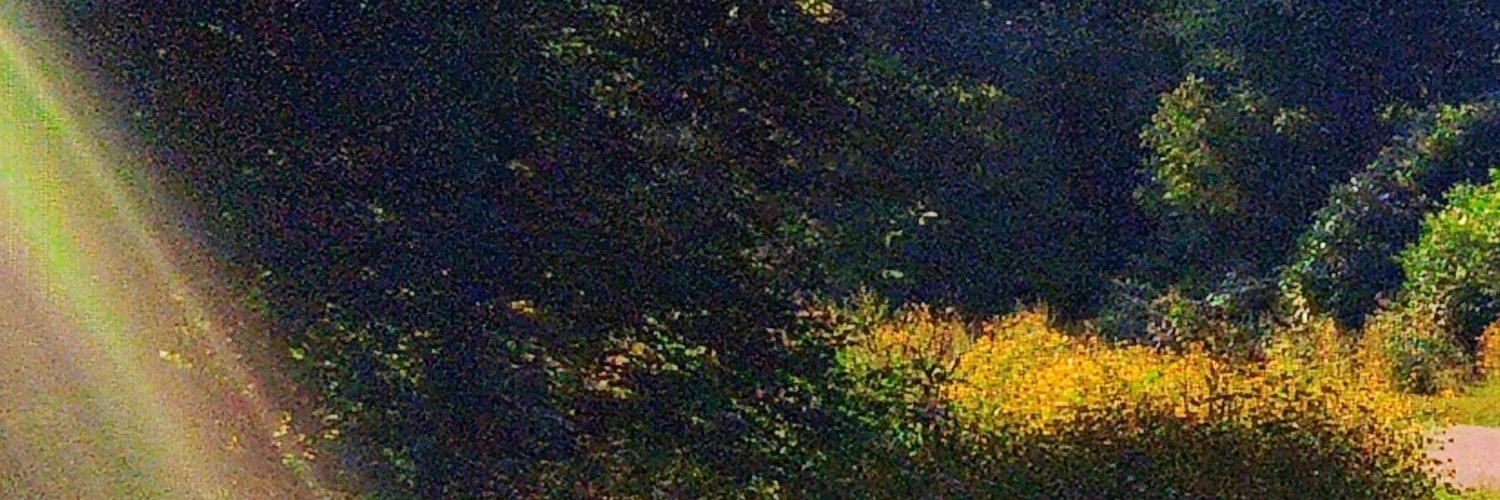 cassandra banner