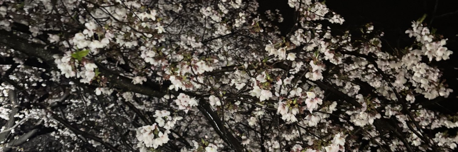 1i6vqt's profile banner image