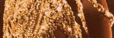 juu banner