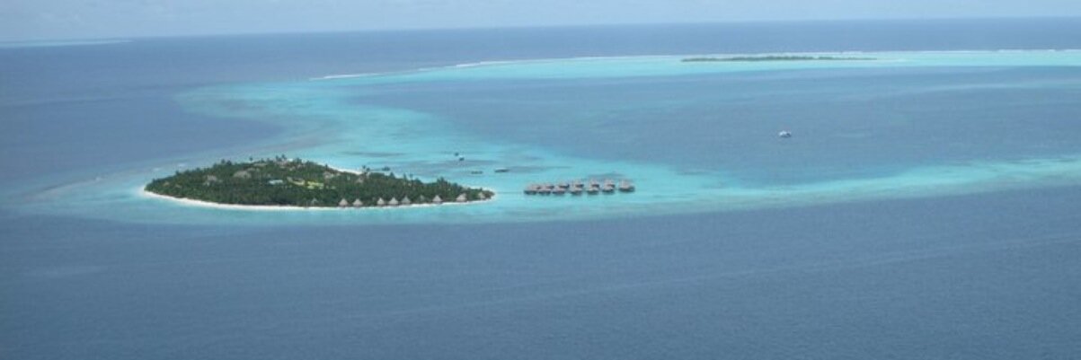 𝙽𝚒𝚔𝚔𝚒 ♪ banner