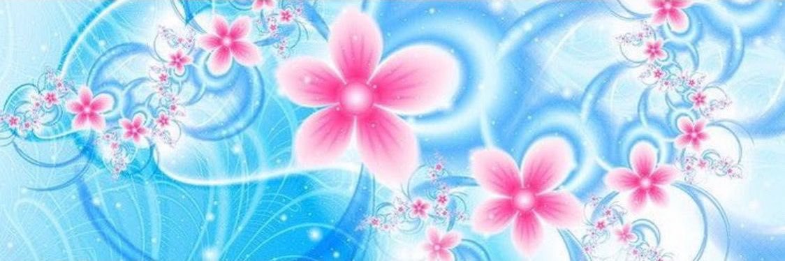 daily kalim banner