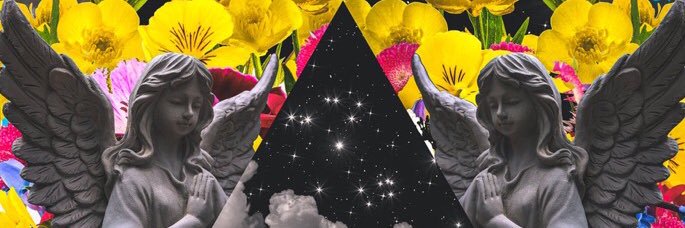 genepesantes's profile banner image