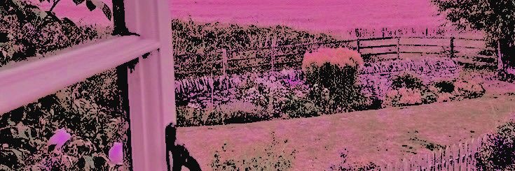 * 𝓛𝑶𝑻𝑻𝑰𝑬 banner