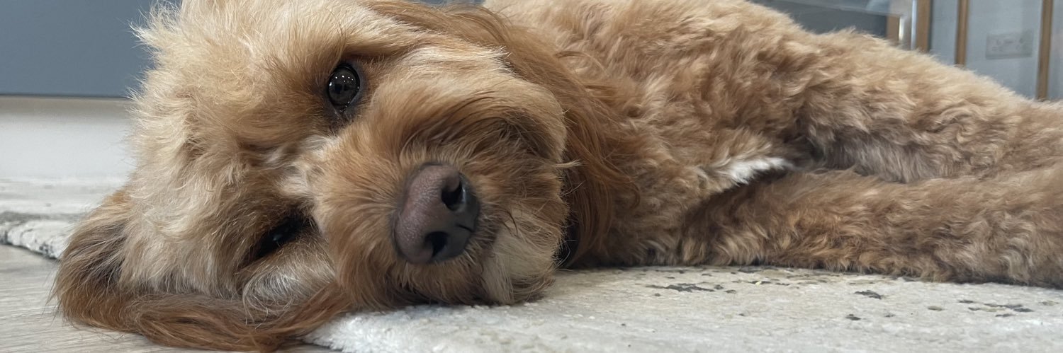 Robert Ordever FCIPD banner