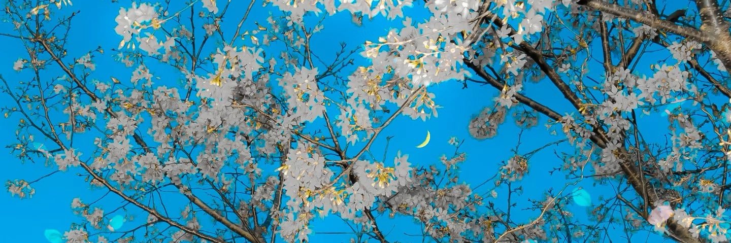 c3261202's profile banner image