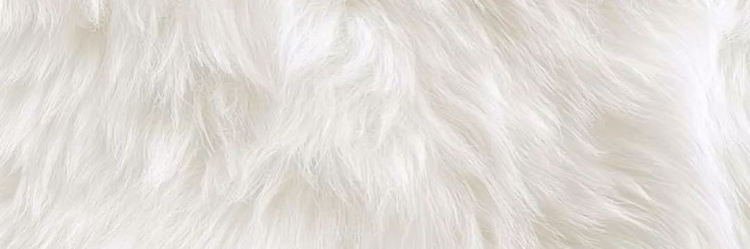 26♥ banner