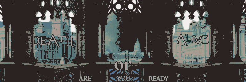 𝑆𝐋𝐘 𝐂𝐑𝐎𝐖 banner