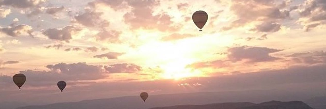 DiAlmeida12's profile banner image