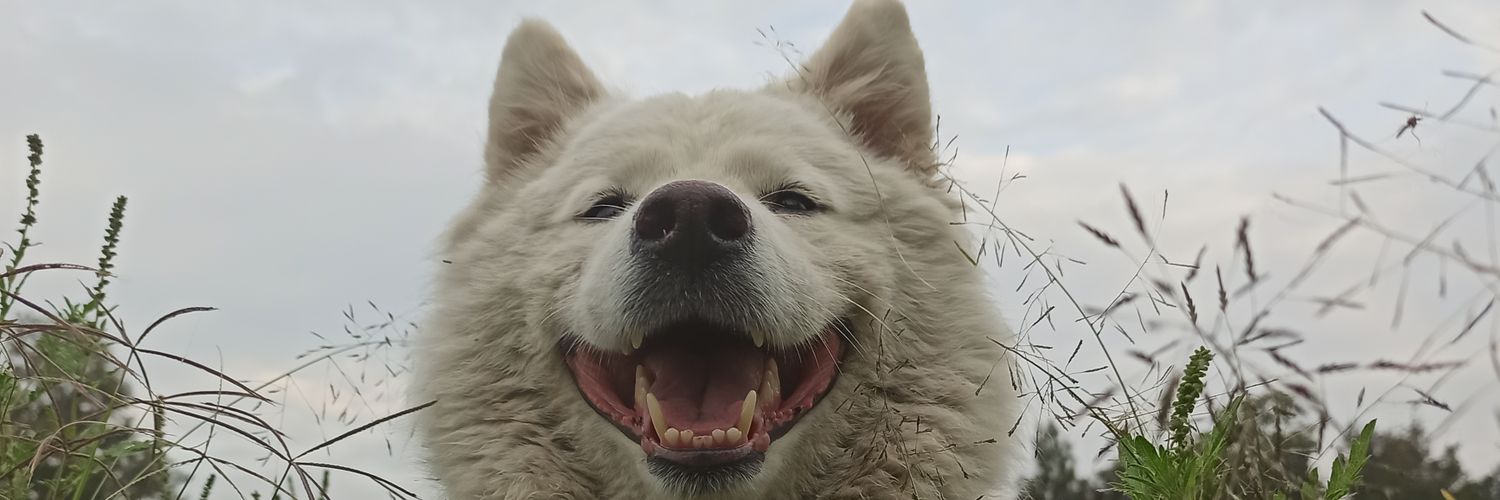 LUISEDGM's profile banner image