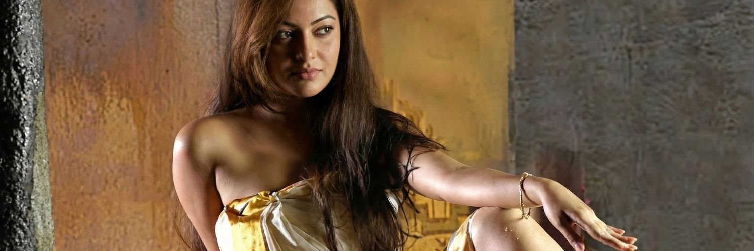Nandini banner