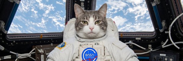 basa_coin Profile Banner