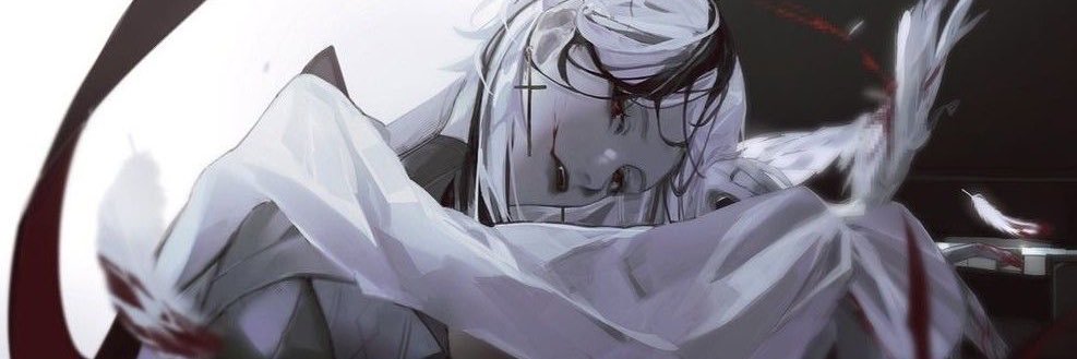 vera banner