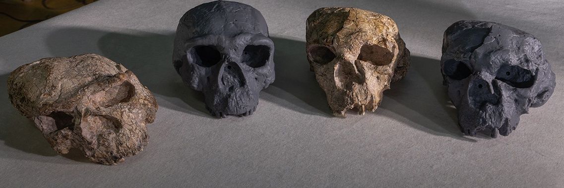 Strong Multi-Regionalism Enthusiast banner