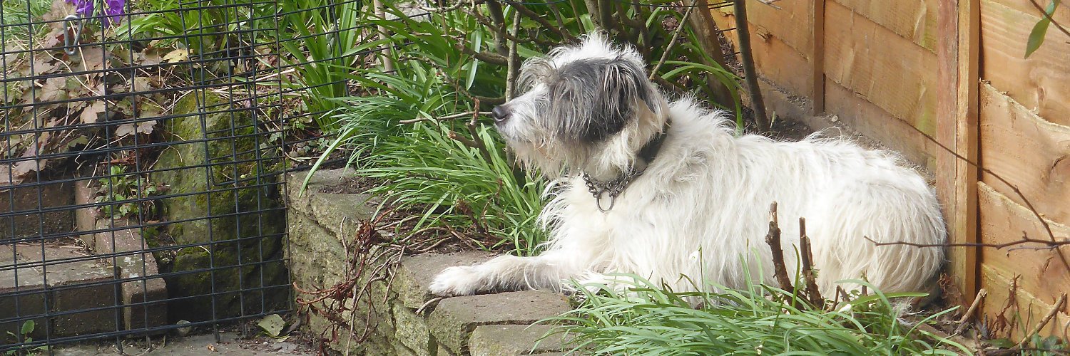 Roger Ward rogward.bsky.social🌹🔄 banner